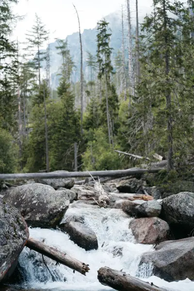 DaceEihvaldePhoto — Photographer, Dobele