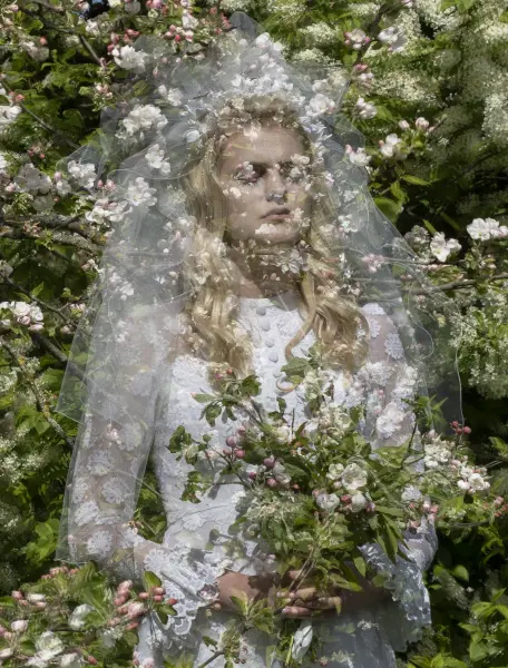 Deinats — Fotogrāfs, Rīga