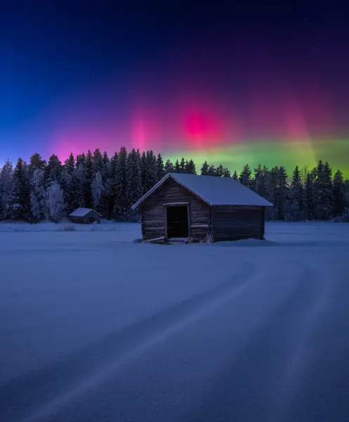 latvianphotographer — Photographer, Bauska