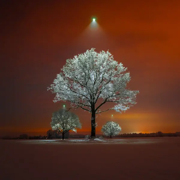 latvianphotographer — Photographer, Bauska