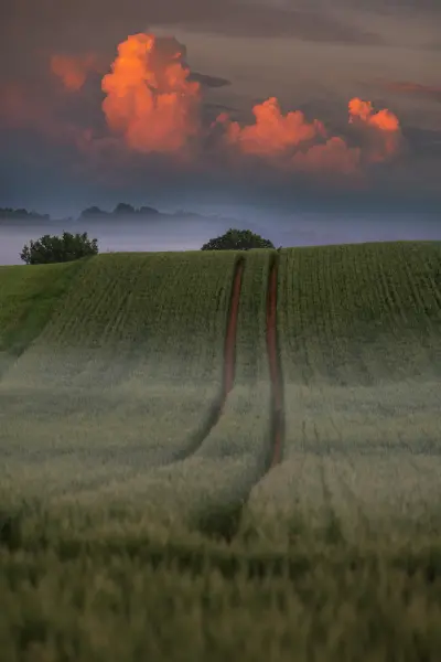 Nordic nature