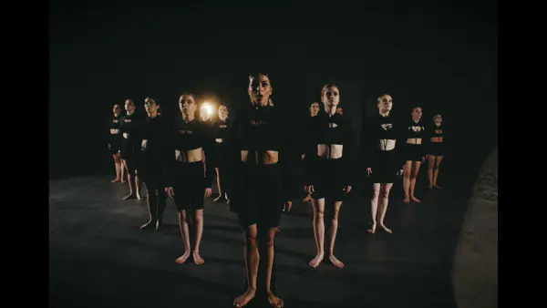 KrauzeVision — Videogrāfs, Dobele
